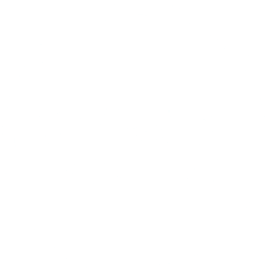 Wagmi Ventures Logo
