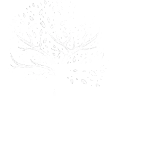 Aza Ventures Logo